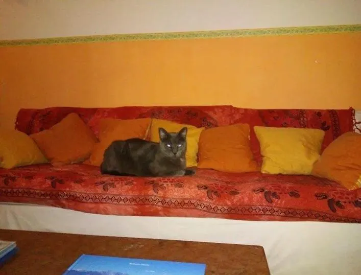 Hotel Villa Morgana Viareggio 2*,  Italy